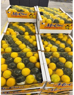 Producto terminado para su venta