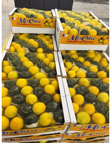 Producto terminado para su venta