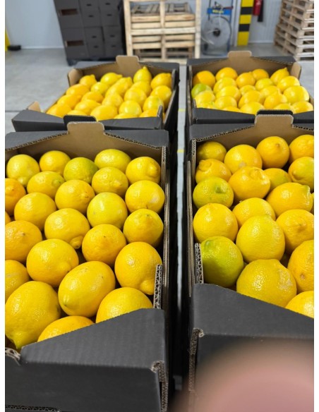 Producto terminado para su venta