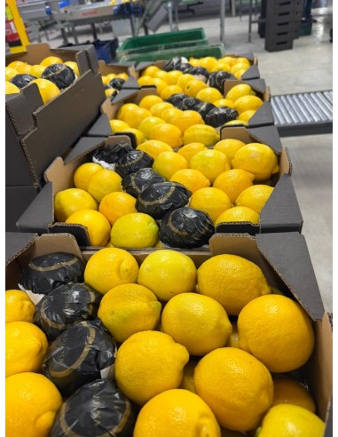 Producto terminado para su venta