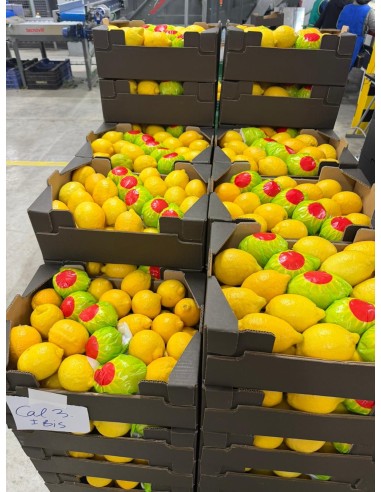 Producto terminado para su venta