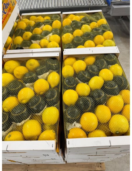 Producto terminado para su venta