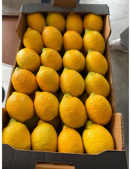 Producto terminado para su venta