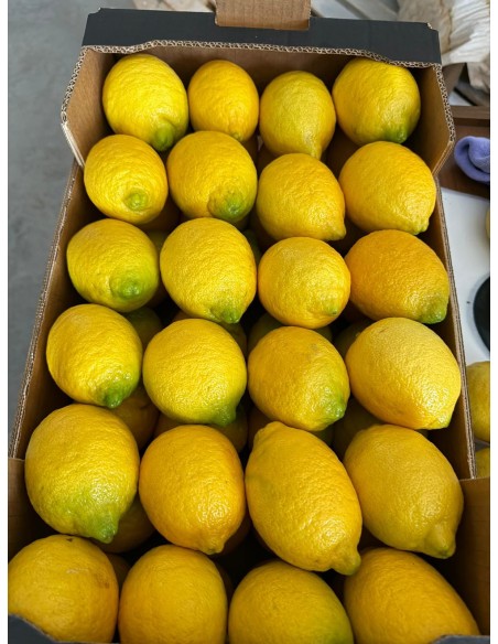 Producto terminado para su venta