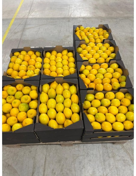 Producto terminado para su venta