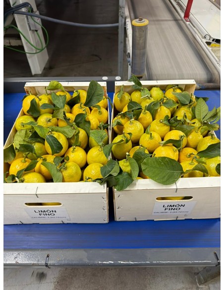 Producto terminado para su venta