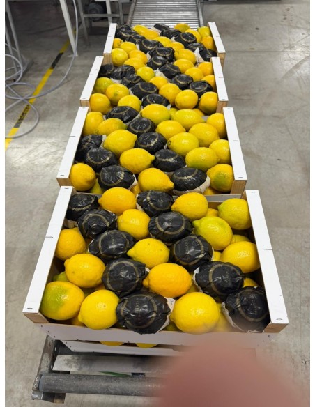 Producto terminado para su venta